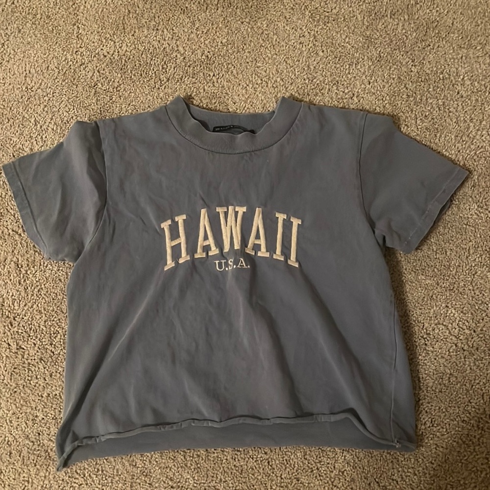 Brandy Melville short sleeve crop top in good condition!